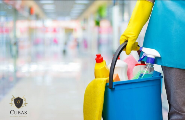 TRF3- Garante aposentadoria por invalidez a faxineira portadora de epilepsia