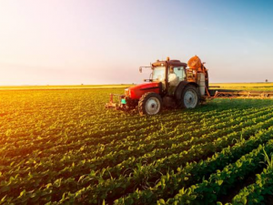 Negada aposentadoria rural a homem que no tem a agricultura como principal fonte de renda